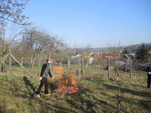 Brigáda zahrádkářů v zahradě školy - 31.3.2019