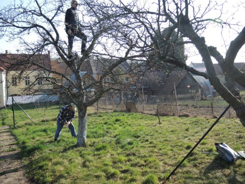 Brigáda zahrádkářů v zahradě školy - 31.3.2019