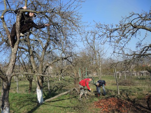 Brigáda zahrádkářů v zahradě školy - 31.3.2019