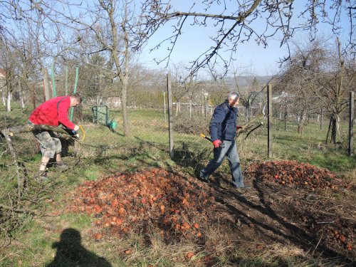 Brigáda zahrádkářů v zahradě školy - 31.3.2019