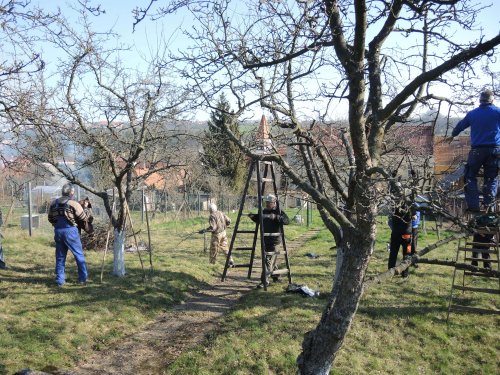 Brigáda zahrádkářů v zahradě školy - 31.3.2019