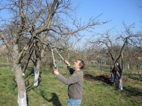 Brigáda zahrádkářů v zahradě školy - 31.3.2019