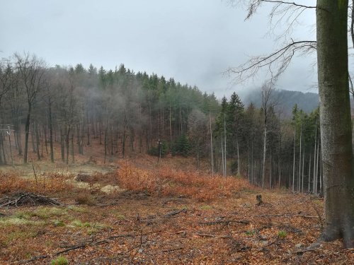 Výlet Sokolů za tajemstvím Starého Světlova - 6.4.2019
