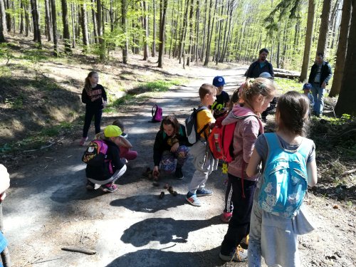 Sokolská vycházka dětí kolem Buchlova - 19.4.2019