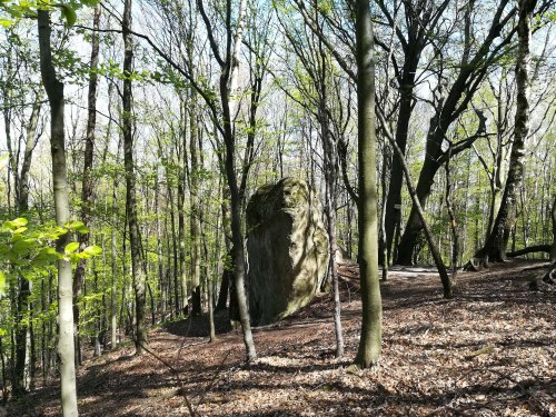 Sokolská vycházka dětí kolem Buchlova - 19.4.2019