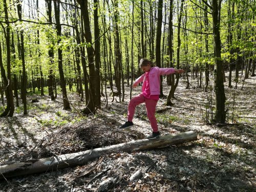 Sokolská vycházka dětí kolem Buchlova - 19.4.2019