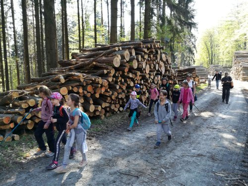 Sokolská vycházka dětí kolem Buchlova - 19.4.2019