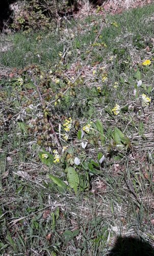 Autobusový zájezd na Vršatec - 11.5.2019