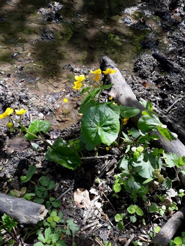 Autobusový zájezd na Vršatec - 11.5.2019