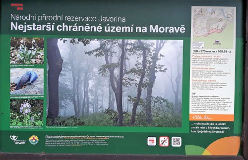 Výšlap sokolů žáků na Javořinu - 8.6.2019