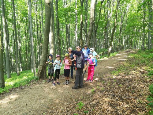 Výšlap sokolů žáků na Javořinu - 8.6.2019