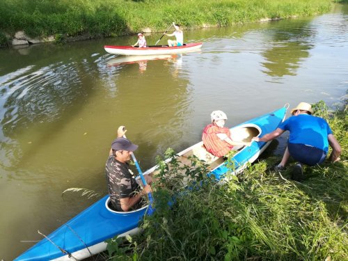 Malí sokoli na vodě - 10.6.2019