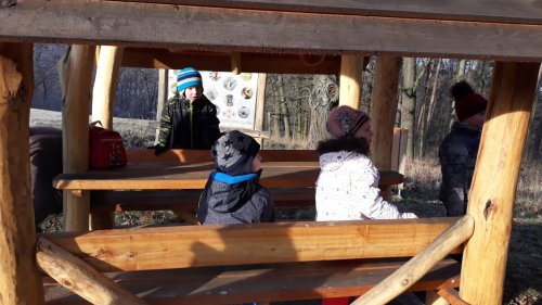 Novoroční procházka malých Sokolů do Lipin - 2.1.2020