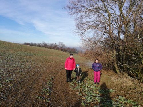 Novoroční procházka malých Sokolů do Lipin - 2.1.2020