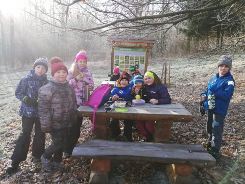 Novoroční procházka malých Sokolů do Lipin - 2.1.2020