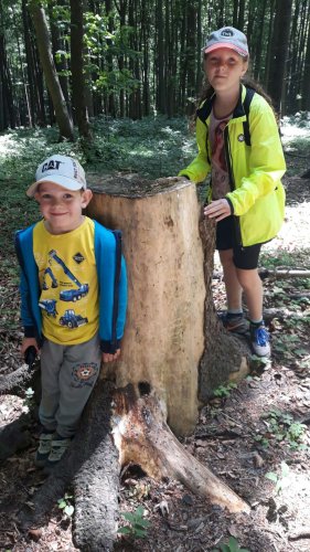 Soubor /2020-06-09-sokol-pramen-olsavy-01.jpg