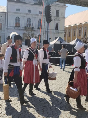Slovácké slavnosti vína v Uherském Hradišti - 11.9.2021
