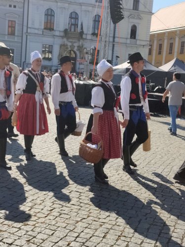 Slovácké slavnosti vína v Uherském Hradišti - 11.9.2021