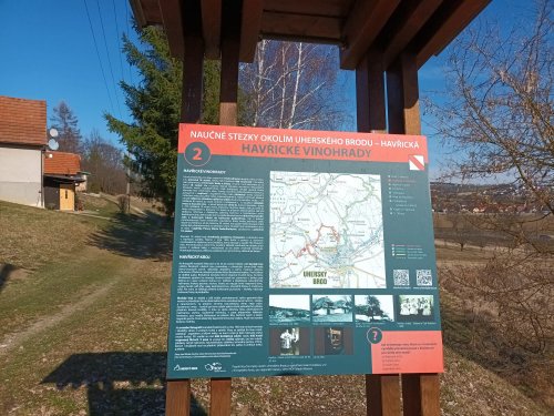 Vycházka Sokolů na Pepčín - 12.3.2022