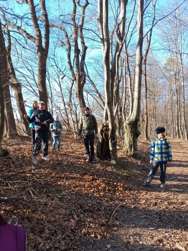 Vycházka Sokolů na Pepčín - 12.3.2022