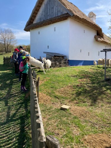 Sokolský výlet na Rochus a Rovninu - 14.4.2022