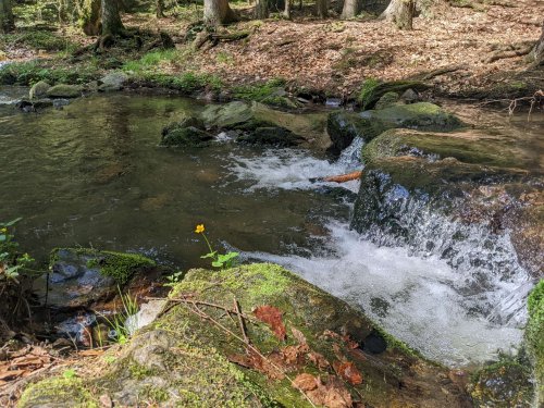 Sokolský výlet na Rešovské vodopády - 8.5.2022