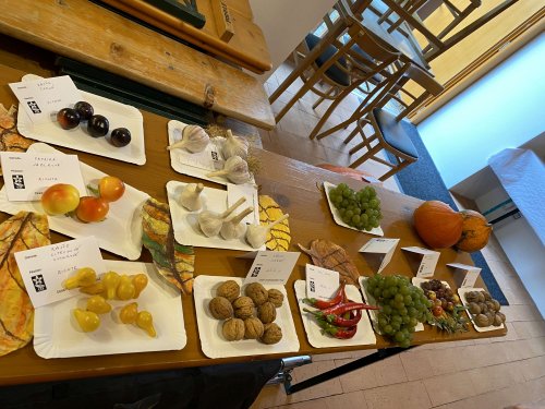 Hody v Podolí - 15.10.2022