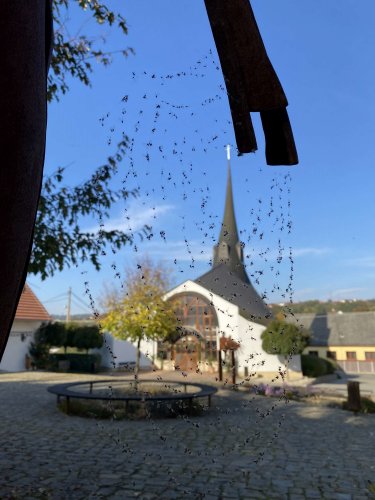 Hody v Podolí - 15.10.2022