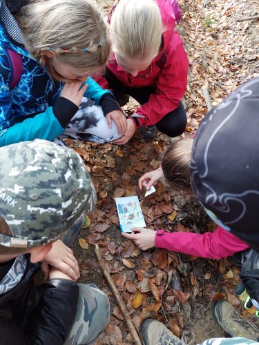 Vycházka turistického oddílu na Brdo - 26.10.2022