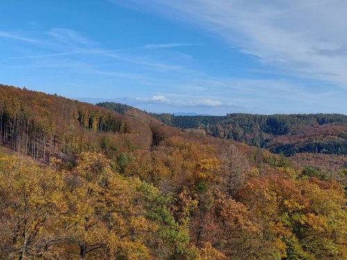 Vycházka turistického oddílu na Brdo - 26.10.2022