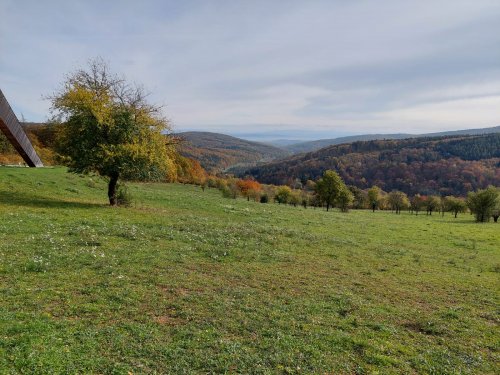 Vycházka turistického oddílu na Brdo - 26.10.2022