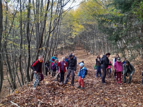 Vycházka turistického oddílu na Brdo - 26.10.2022