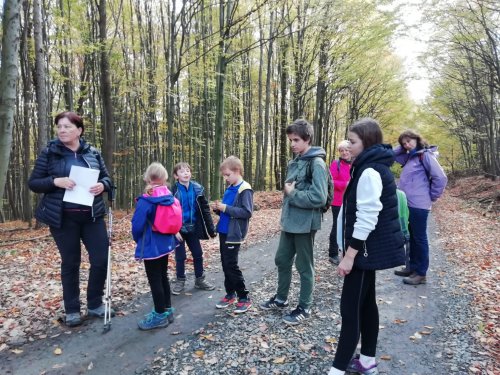 Vycházka turistického oddílu na Brdo - 26.10.2022