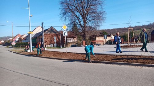 Růžové království v Podolí - 12.11.2022