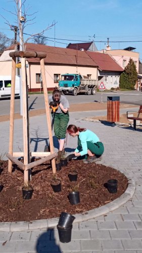 Růžové království v Podolí - 12.11.2022