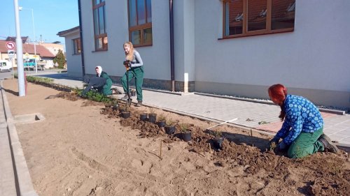 Růžové království v Podolí - 12.11.2022