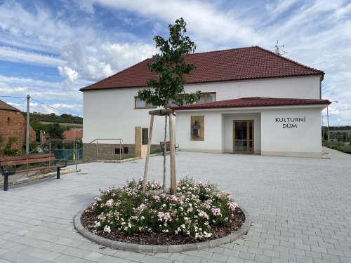 Růžové království v Podolí - 12.11.2022