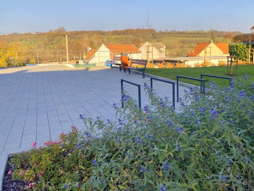 Růžové království v Podolí - 12.11.2022