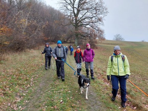 Výšlap Sokolů do NPR Čertoryje (Lučina u Radějova) - 17.11.2022