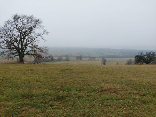 Výšlap Sokolů do NPR Čertoryje (Lučina u Radějova) - 17.11.2022