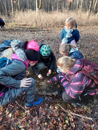 Vycházka turistického oddílu na Pepčín - 2.1.2023