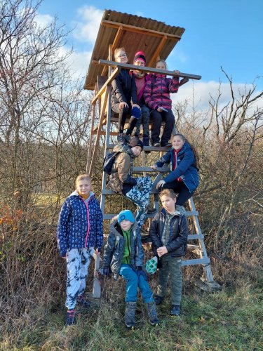 Vycházka turistického oddílu na Pepčín - 2.1.2023