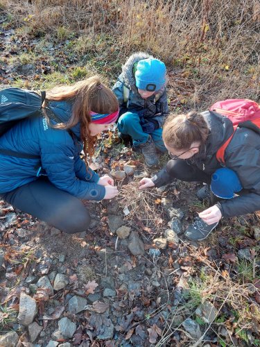Vycházka turistického oddílu na Pepčín - 2.1.2023