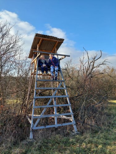 Vycházka turistického oddílu na Pepčín - 2.1.2023