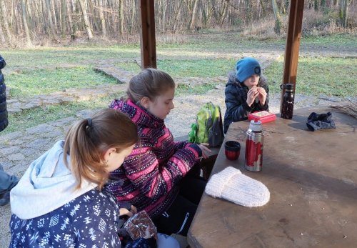 Vycházka turistického oddílu na Pepčín - 2.1.2023