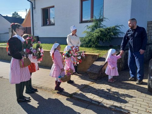 Královničky aneb nosení létečka - 26.3.2023