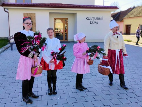 Královničky aneb nosení létečka - 26.3.2023