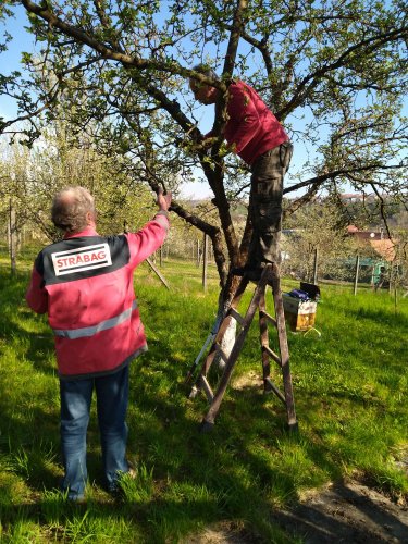 Brigáda zahrádkářů ve školní zahradě - 23.4.2023