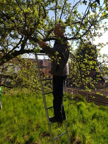 Brigáda zahrádkářů ve školní zahradě - 23.4.2023