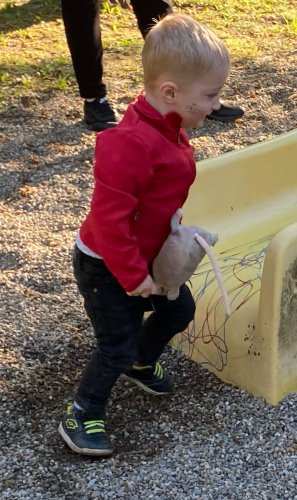 Stavění máje a čarodějnice - 30.4.2023